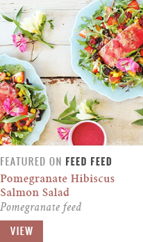 justine-celina_pomegranate-hibiscus-salmon-salad_pomegranate-feed_feed-feed-feature