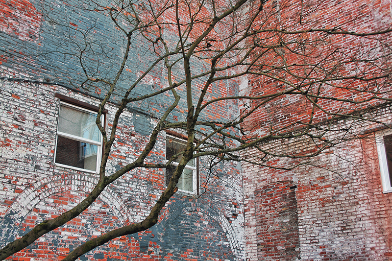 Natural Textures of the Pacific Northwest // JustineCelina.com