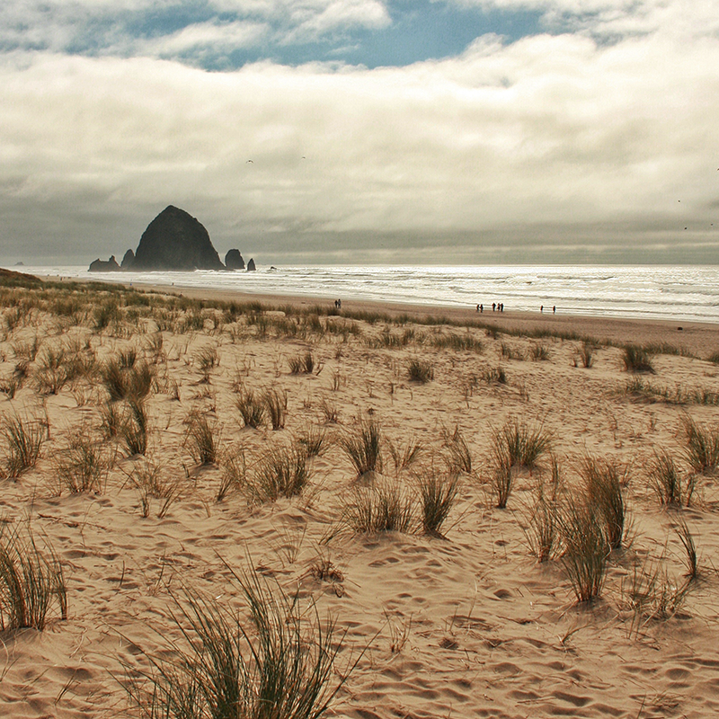 Natural Textures of the Pacific Northwest // JustineCelina.com