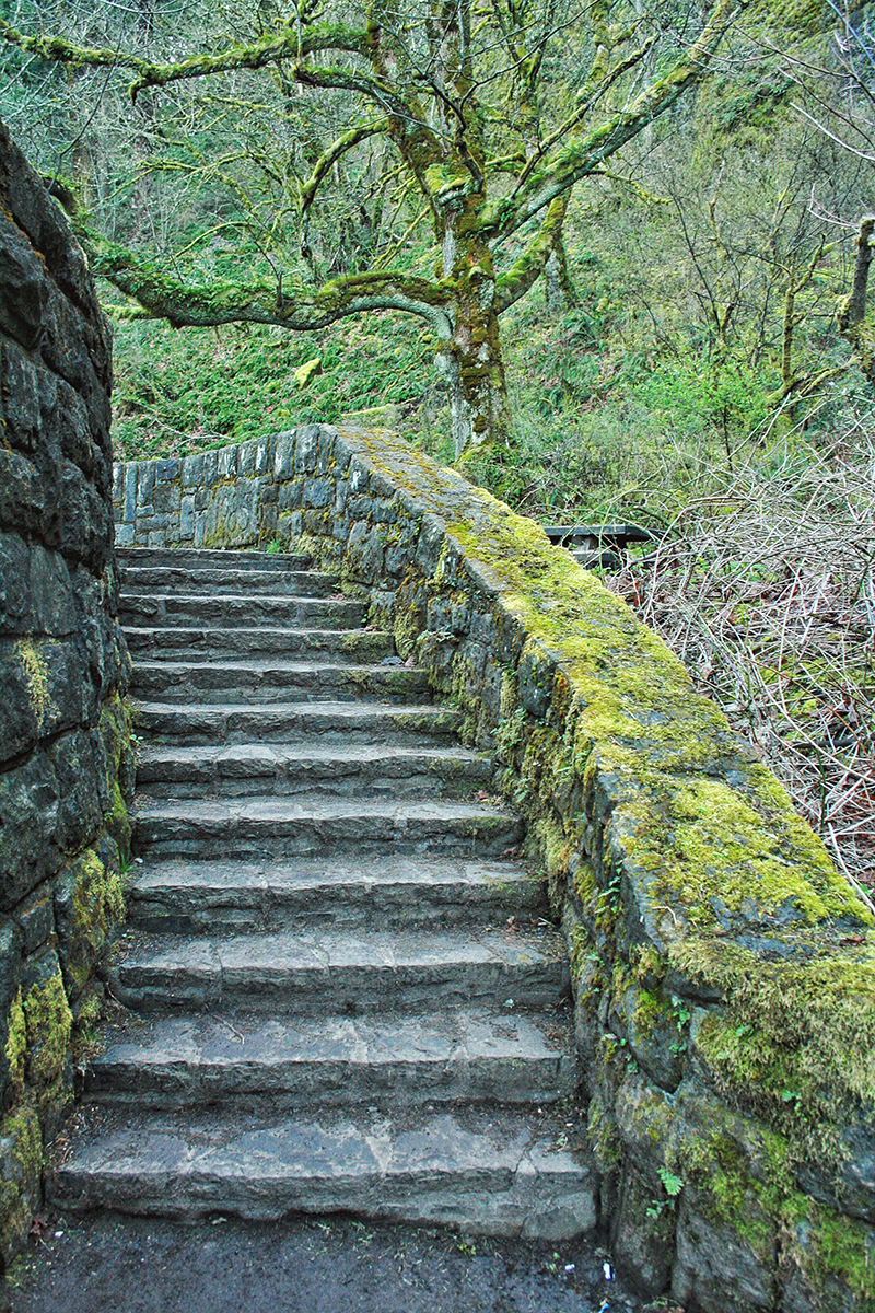 Natural Textures of the Pacific Northwest // JustineCelina.com