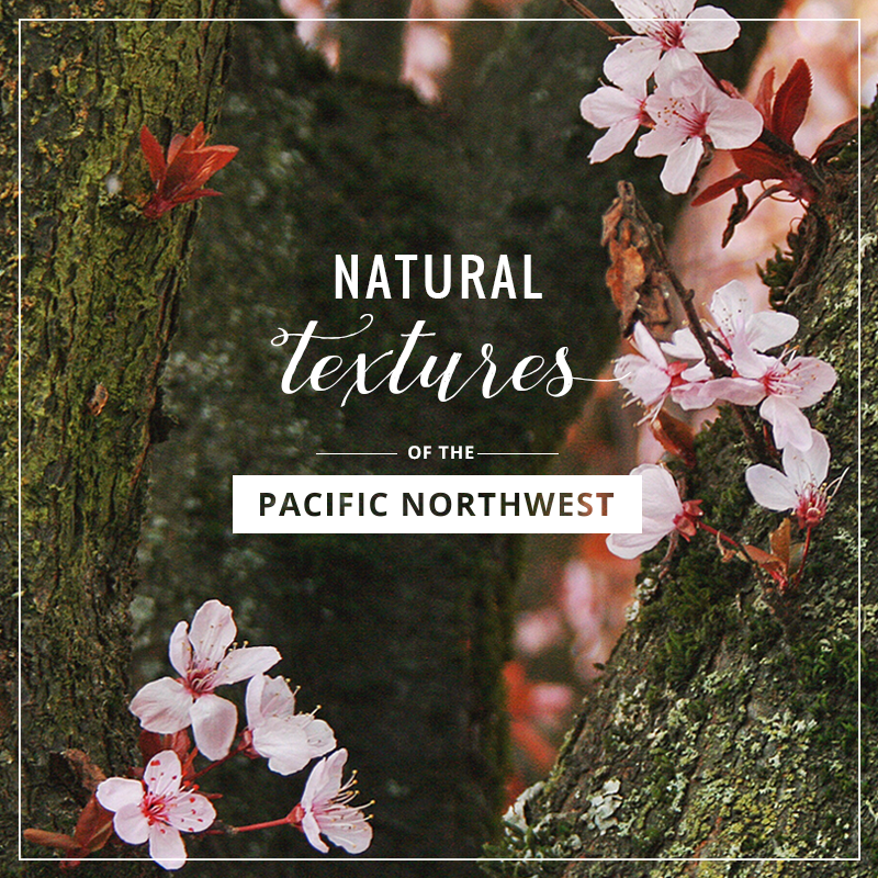 Natural Textures of the Pacific Northwest // JustineCelina.com