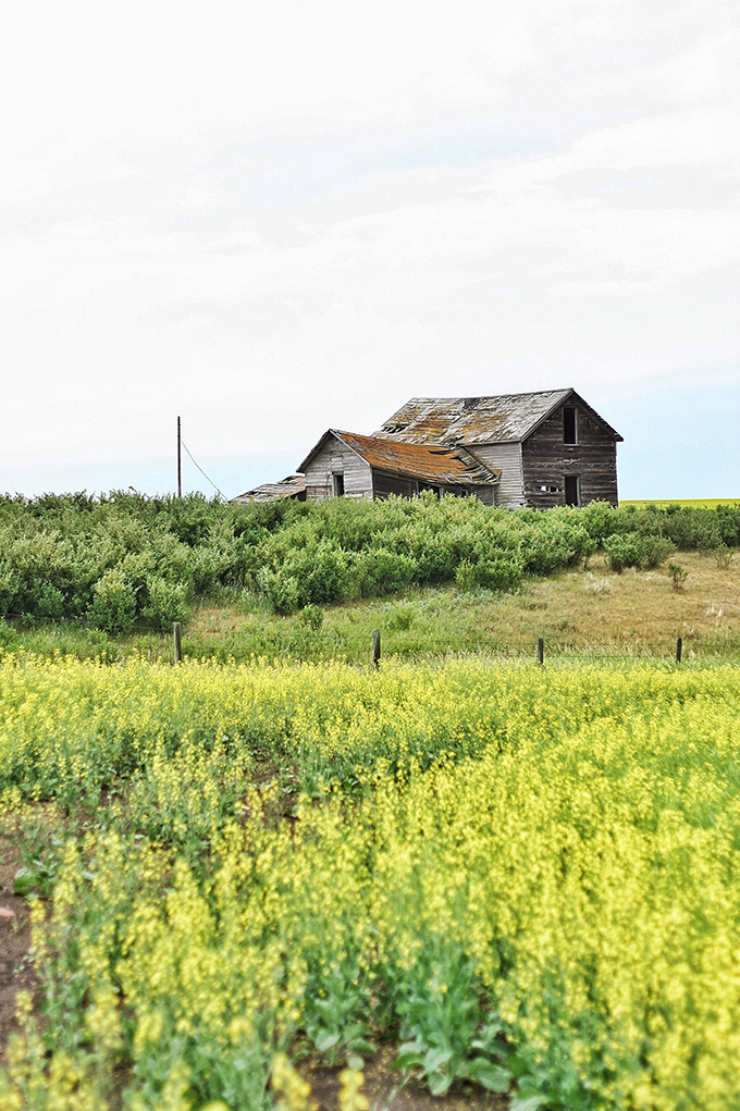 Summertime in the Country  // JustineCelina.com