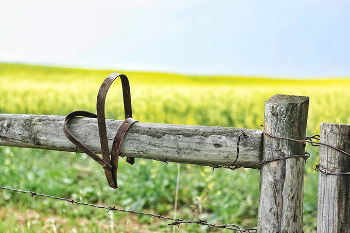 Summertime in the Country  // JustineCelina.com