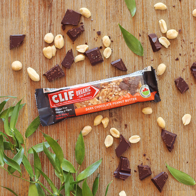 Clif Dark Chocolate Peanut Butter Organic Trail Mix Bar Review // JustineCelina.com