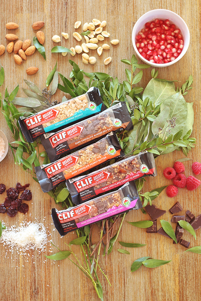 Clif Organic Trail Mix Bar Review // JustineCelina.com