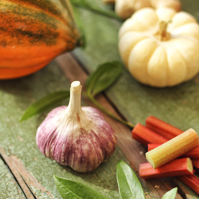 Autumn Harvest Soup with Roasted Squash Seeds // JustineCelina.com