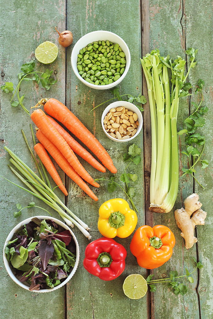 Tangled Thai Salad with Ginger Peanut Sauce // JustineCelina.com