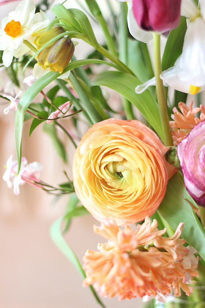 An Introduction to Spring Flowers | Ranunculus // JustineCelina.com