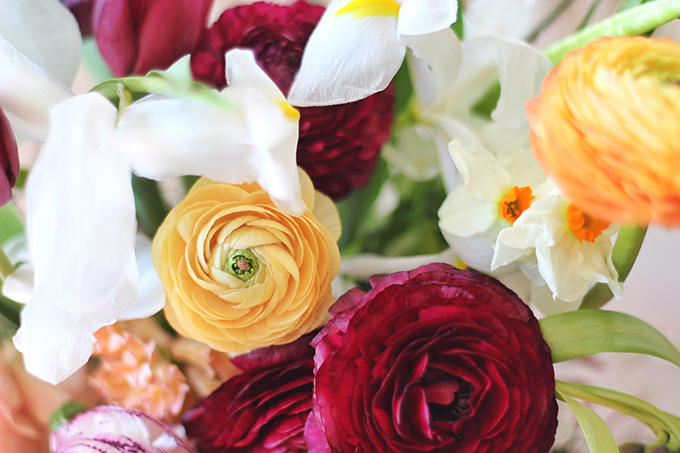 An Introduction to Spring Flowers | Ranunculus // JustineCelina.com