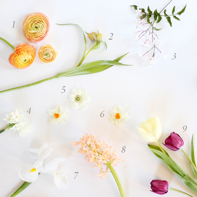 An Introduction to Spring Flowers | How to Identify Spring Flowers // JustineCelina.com