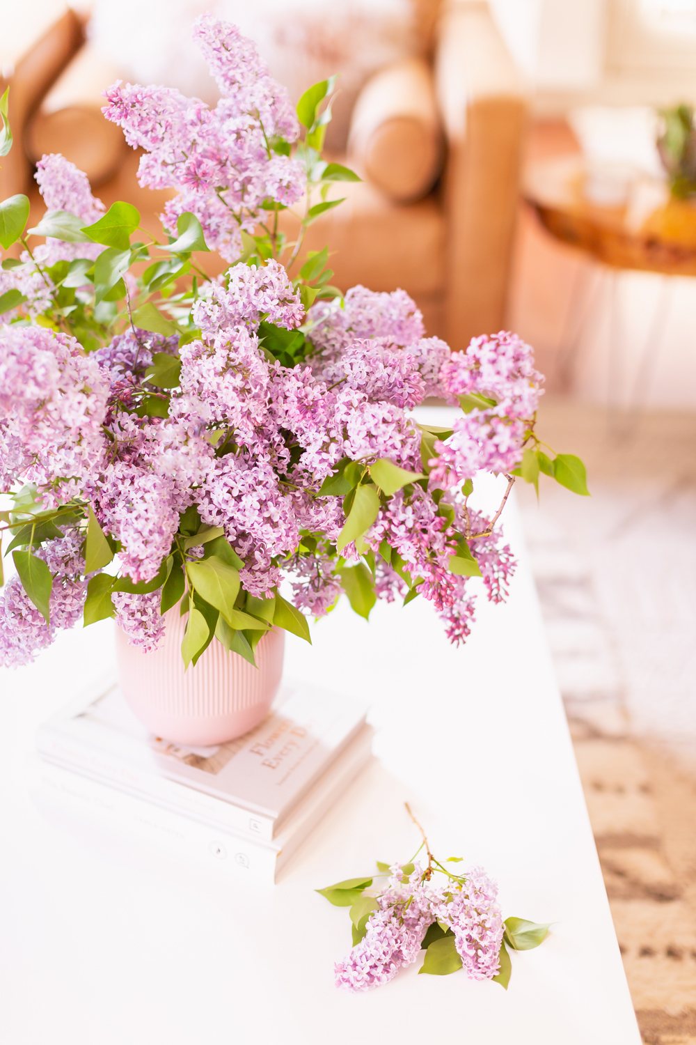 An oversized lilac bouquet and single lilac bough on a white coffee table in JustineCelina’s light and airy mid century meets boho modern living room | DIY Lilac Flower Arrangement | How to Forage Lilacs | How to Prolong Lilac Vase Life | How to Arrange Lilacs | Fresh Lilac Flower Bouquet | Extremely Pretty Lilac Arrangement | Purple Lilac Arrangement | How to Cut Lilacs from a tree or bush | Calgary Creative Lifestyle Blogger // JustineCelina.com