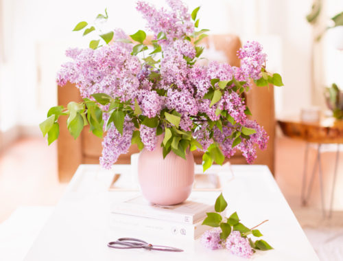 How to Create a Lilac Bouquet | An oversized lilac bouquet and a pair of clippers on a white coffee table in JustineCelina’s light and airy mid century meets boho modern living room | DIY Lilac Flower Arrangement | How to Forage Lilacs | How to Prolong Lilac Vase Life | How to Arrange Lilacs | Fresh Lilac Flower Bouquet | Extremely Pretty Lilac Arrangement | Purple Lilac Arrangement | How to Cut Lilacs from a tree or bush | Calgary Creative Lifestyle Blogger // JustineCelina.com