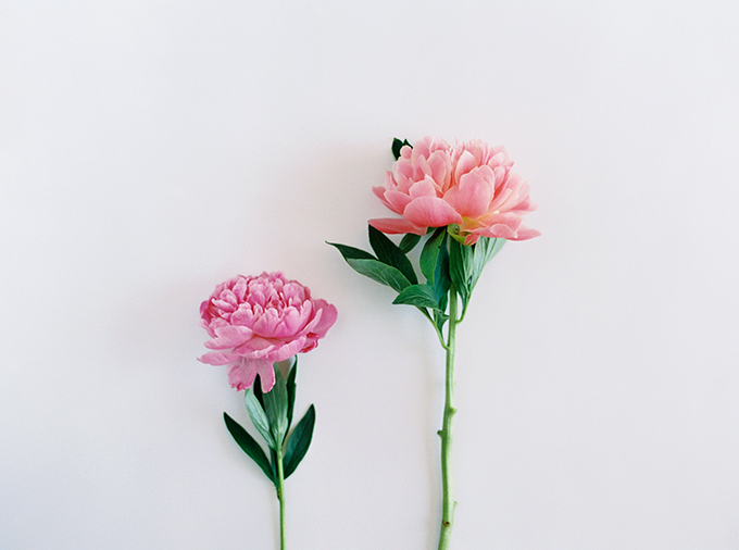 DIY | How to Make a Summer Flower Arrangement with Rebecca Dawn Design | Pink Peonies // JustineCelina.com