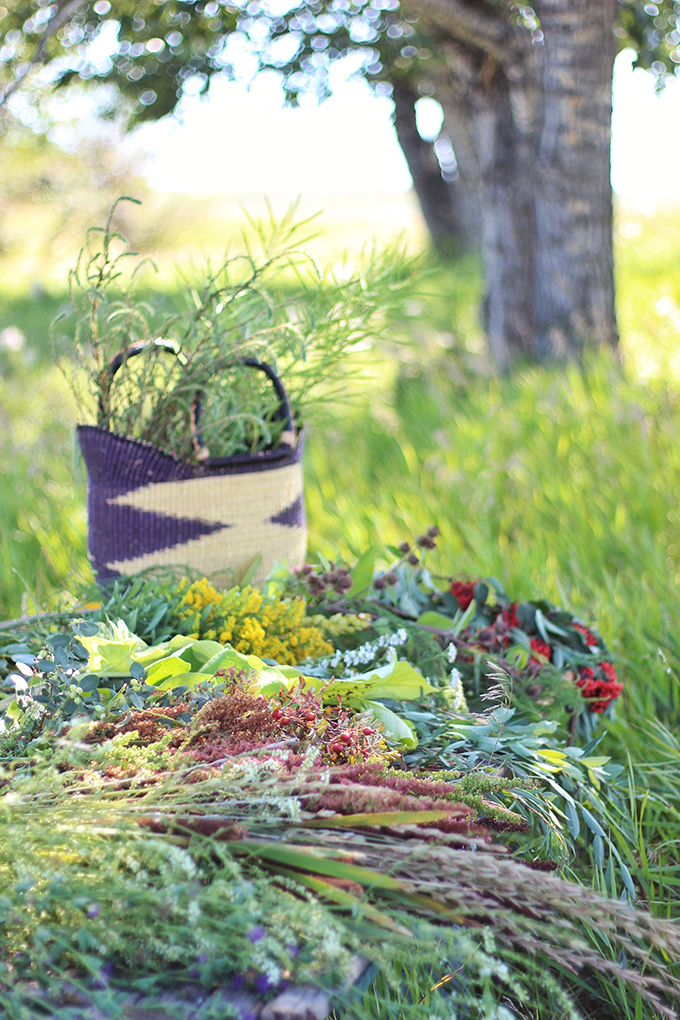 Foraged Prairie Wildflower Bouquet | Calgary, Alberta, Canada // JustineCelina.com