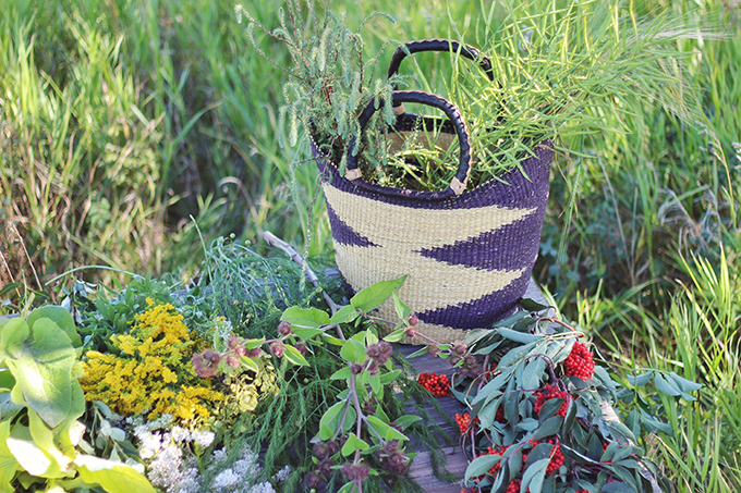 Foraged Prairie Wildflower Bouquet | Calgary, Alberta, Canada // JustineCelina.com