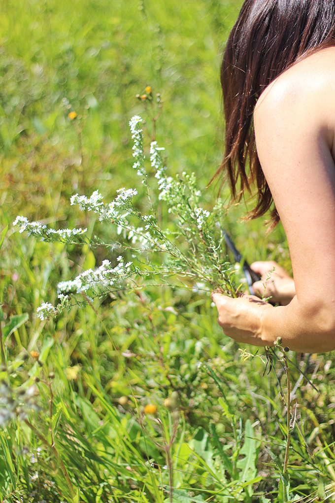 Foraged Prairie Wildflower Bouquet | Yarrow | Calgary, Alberta, Canada // JustineCelina.com