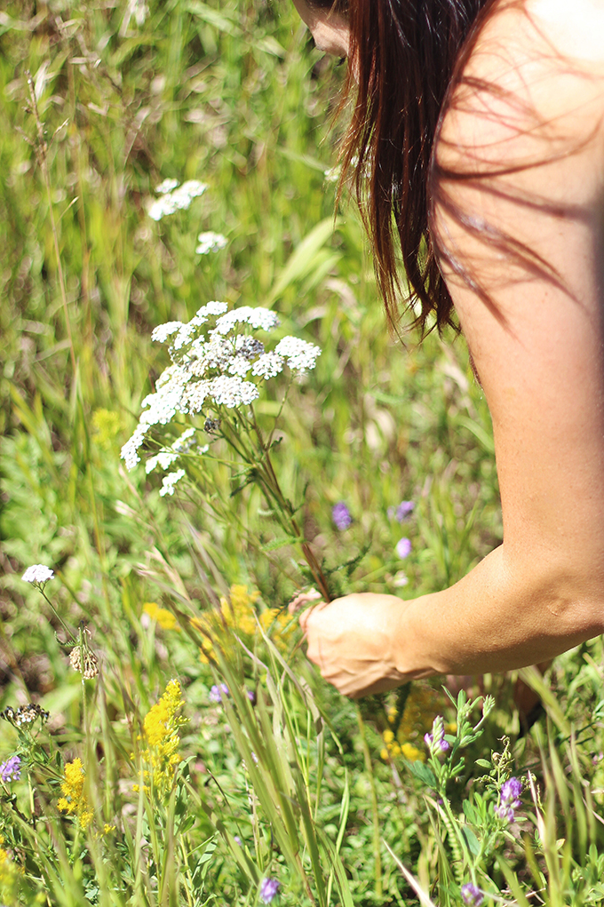 Foraged Prairie Wildflower Bouquet | Prairie Foraging Guidelines | Calgary, Alberta, Canada // JustineCelina.com