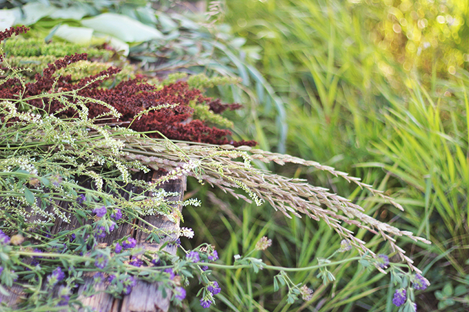 Foraged Prairie Wildflower Bouquet | Calgary, Alberta, Canada // JustineCelina.com