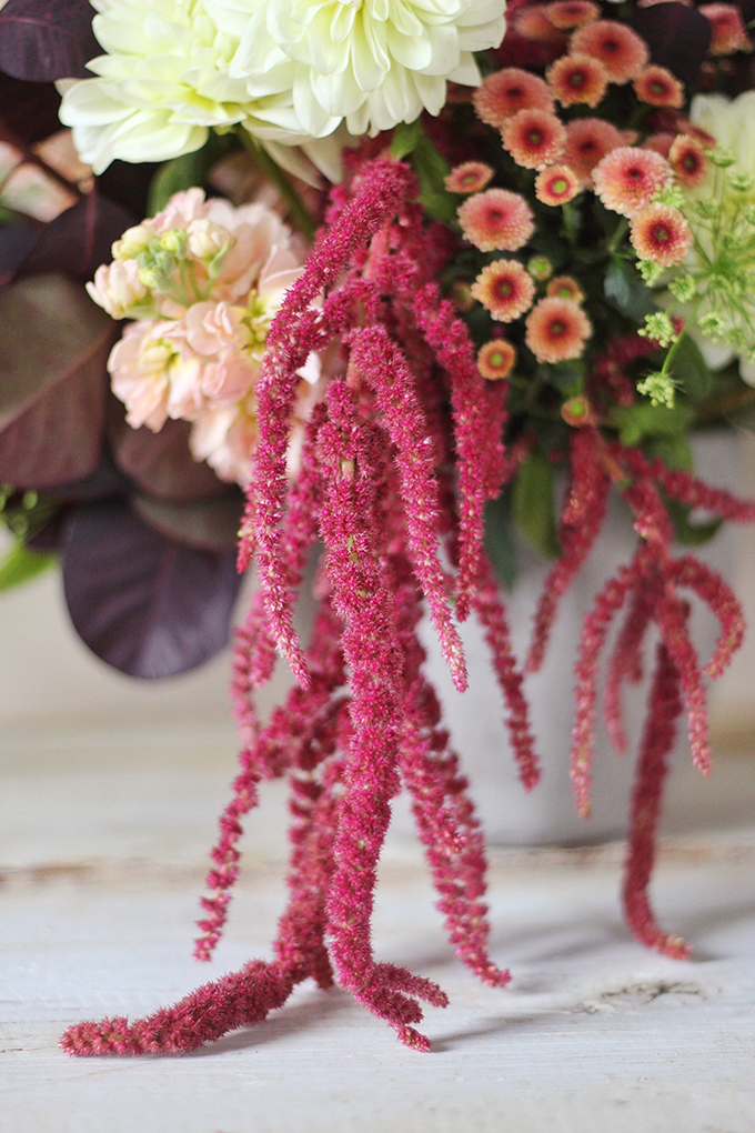 An Introduction to Autumn Flowers | Autumn Arrangement with Red Amananthus // JustineCelina.com x Rebecca Dawn Design