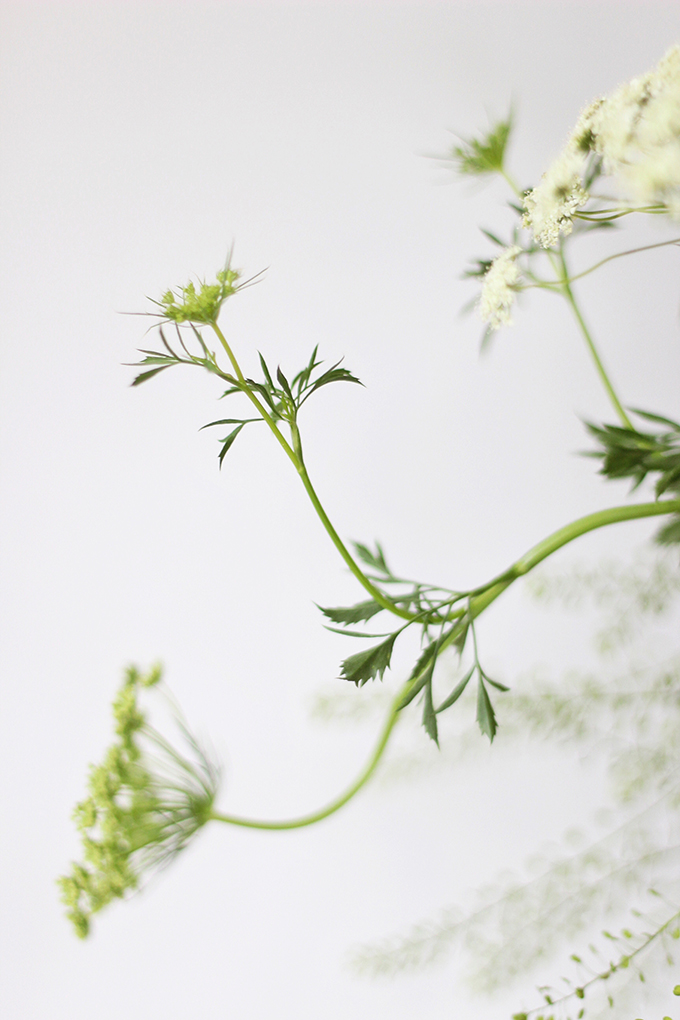 An Introduction to Autumn Flowers | Autumn Arrangement with Queen Anne’s Lace // JustineCelina.com x Rebecca Dawn Design