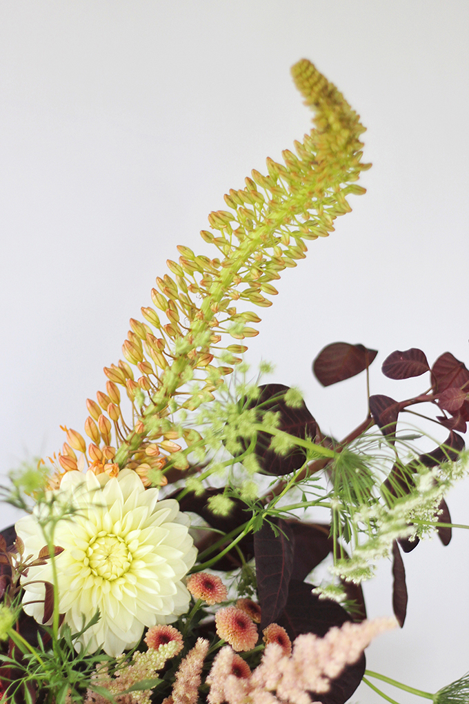 An Introduction to Autumn Flowers | Thlaspi // JustineCelina.com x Rebecca Dawn Design