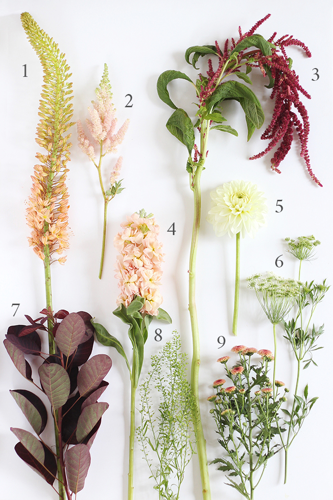 An Introduction to Autumn Flowers | How to Identify Flowers // JustineCelina.com