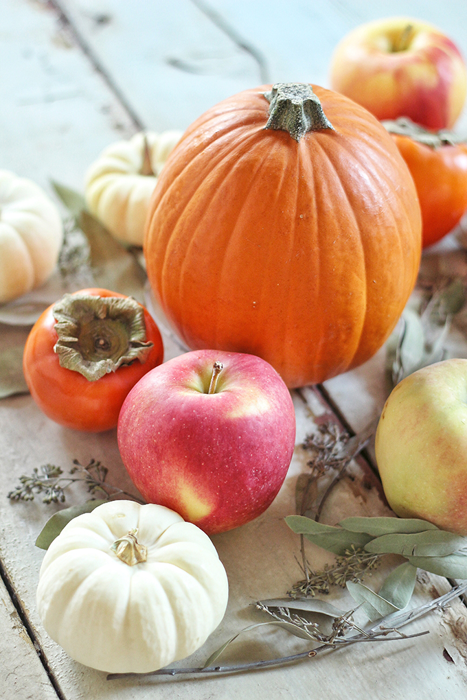 How to Make Homemade Pumpkin Puree // JustineCelina.com