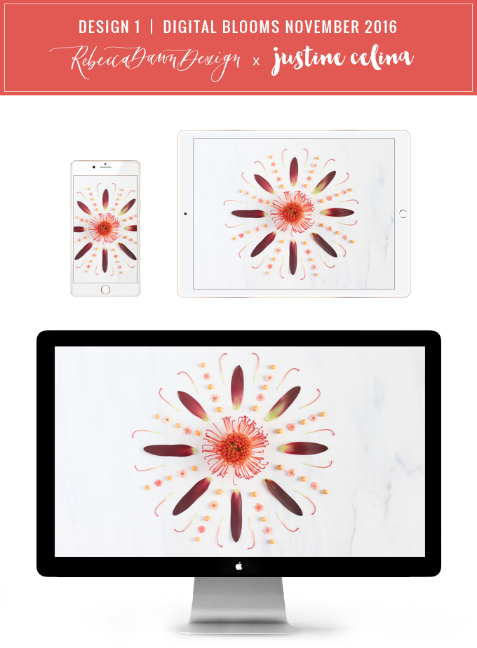 DIGITAL BLOOMS OCTOBER 2016 | FREE TECH WALLPAPERS | Design 1 // JustineCelina.com