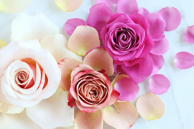 All About Roses | Romantic Rose Ombre // JustineCelina.com x Rebecca Dawn Design
