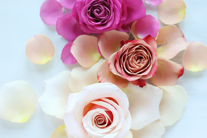 All About Roses | Romantic Rose Ombre // JustineCelina.com x Rebecca Dawn Design