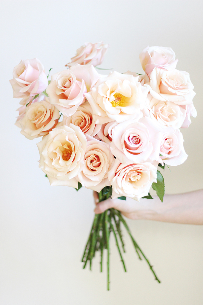 All About Roses | How to Revive Droopy Roses // JustineCelina.com x Rebecca Dawn Design