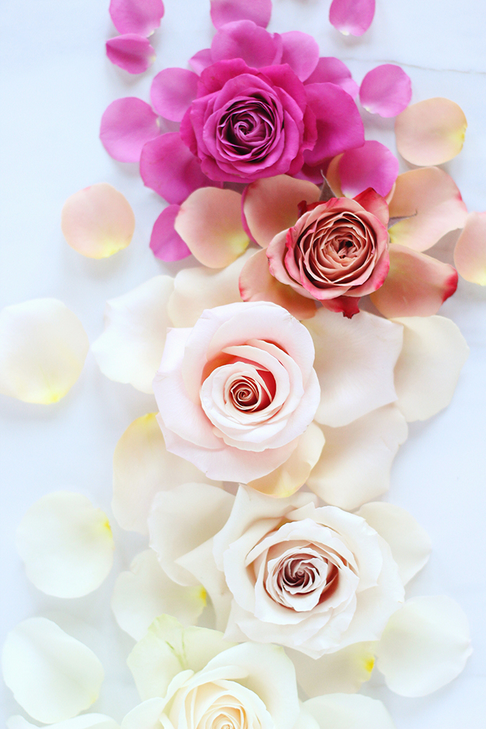 All About Roses | Romantic Rose Ombre // JustineCelina.com x Rebecca Dawn Design