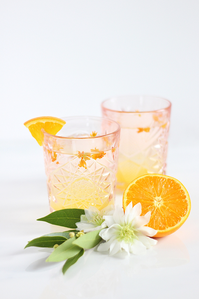 Coastal Orange Blossom Gin Cocktail // JustineCelina.com