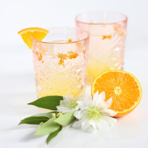 Coastal Orange Blossom Gin Cocktail // JustineCelina.com