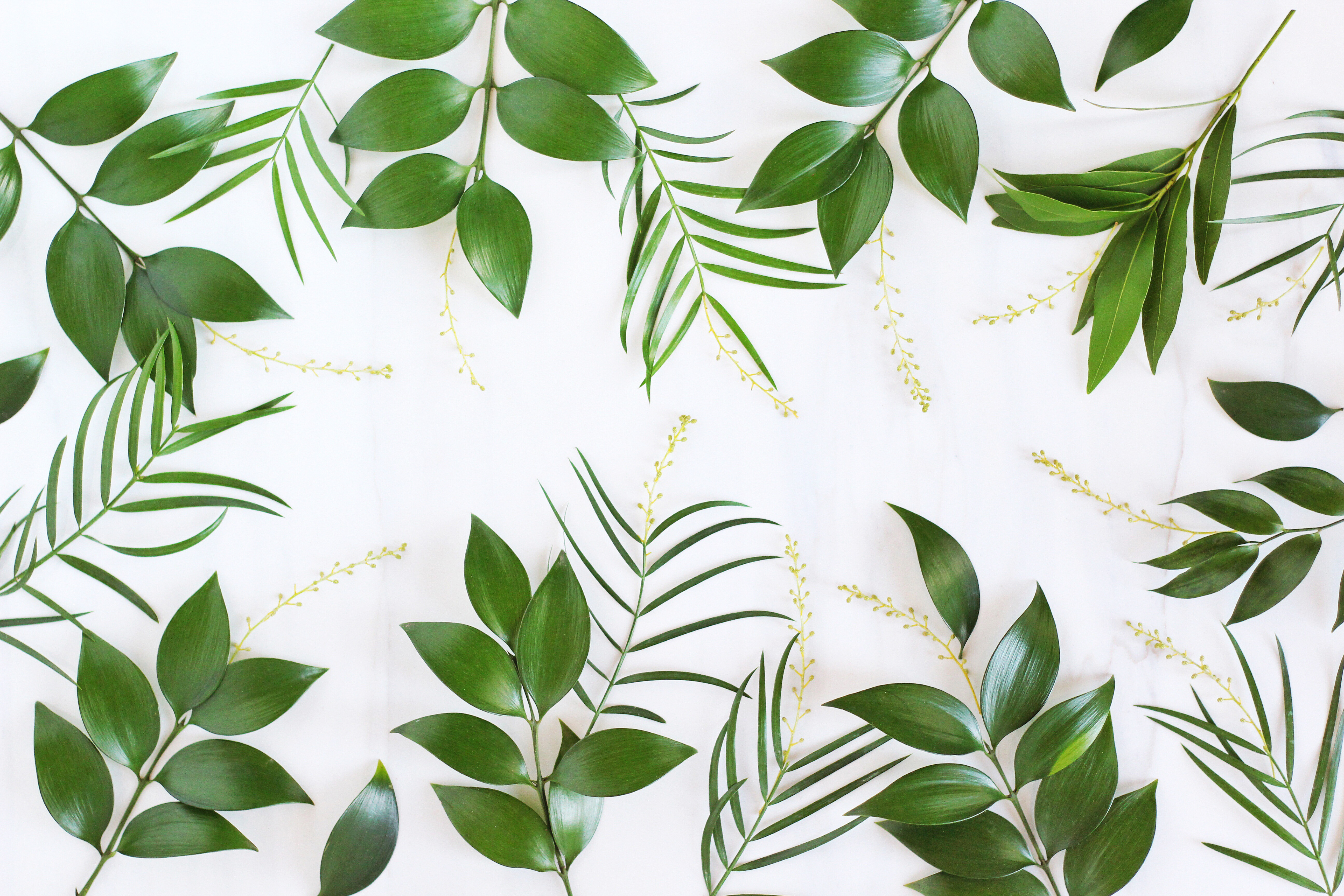 MARCH DIGITAL BLOOMS ROUNDUP | 8 FREE TECH WALLPAPERS - JustineCelina