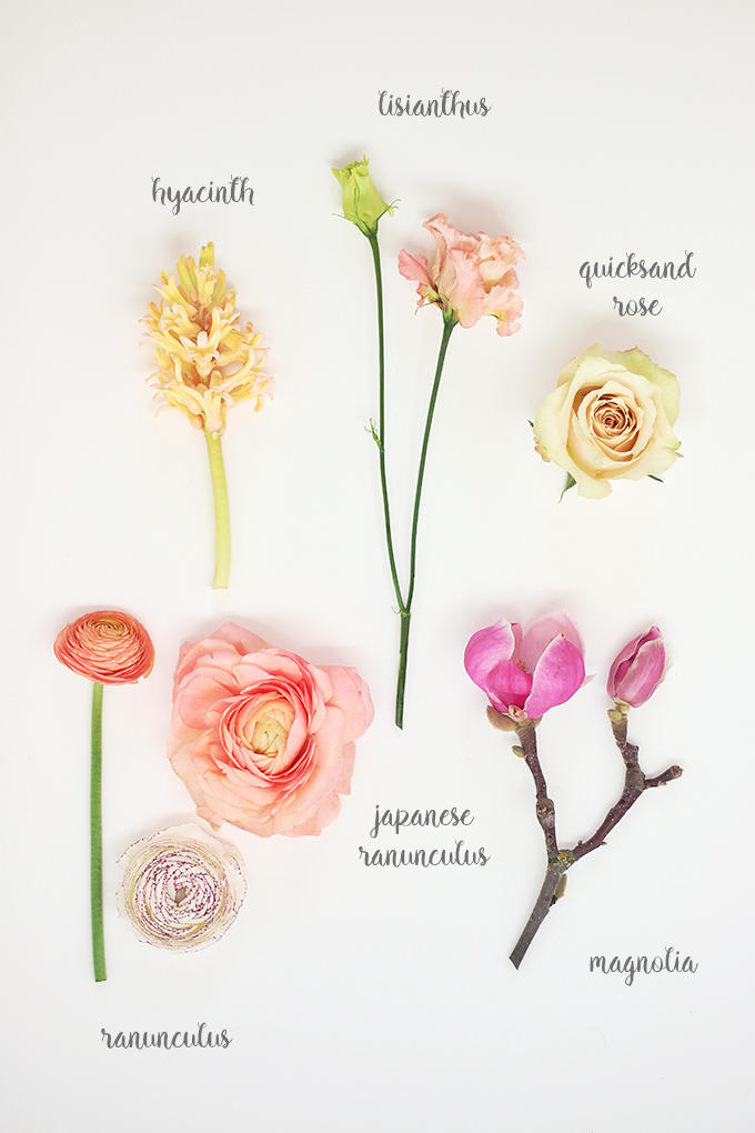 A Blushing Spring Arrangement with Coral Japanese Ranunculus, Lisianthus, Hyancith, Magnolia and Quicksand Roses | How to Identify Spring Flowers // JustineCelina.com