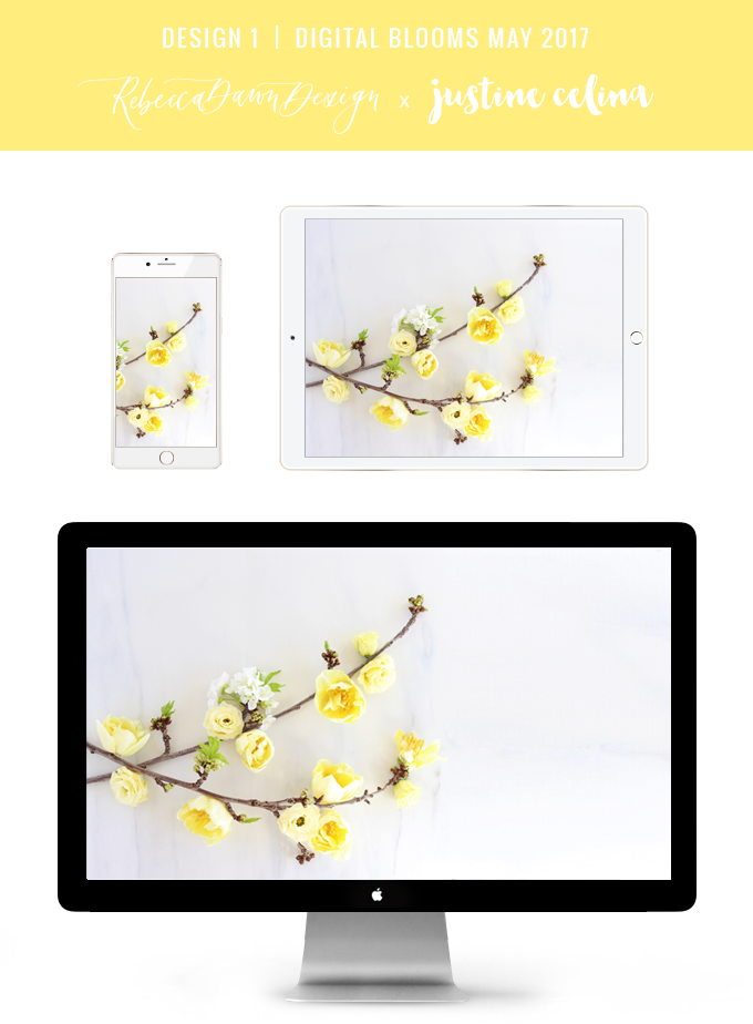 Digital Blooms May 2017 | Free Desktop Wallpapers | Design 1 // JustineCelina.com x Rebecca Dawn Design