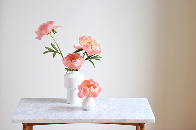 All About Peonies | Purchasing and care tips | Coral Sunset Peonies // JustineCelina.com x Rebecca Dawn Design