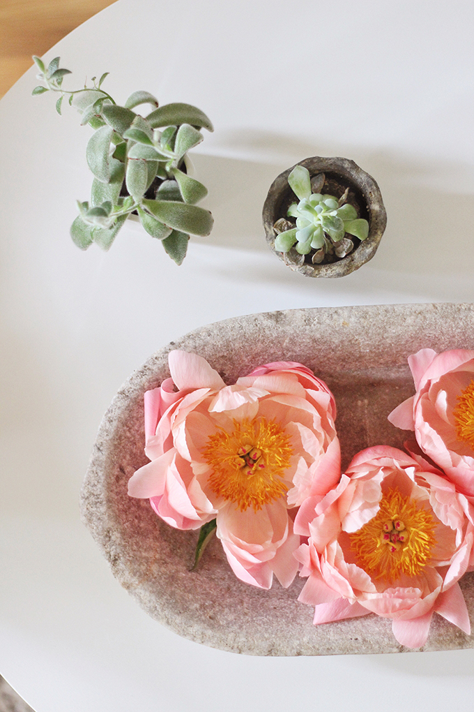 All About Peonies | Purchasing and care tips | Coral Sunset Peonies | Floating Peony Centrepiece // JustineCelina.com x Rebecca Dawn Design