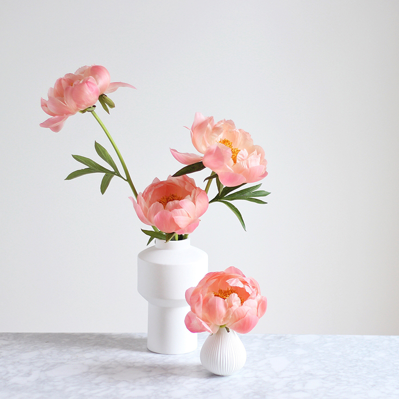 All About Peonies | Purchasing and care tips | Coral Sunset Peonies // JustineCelina.com x Rebecca Dawn Design