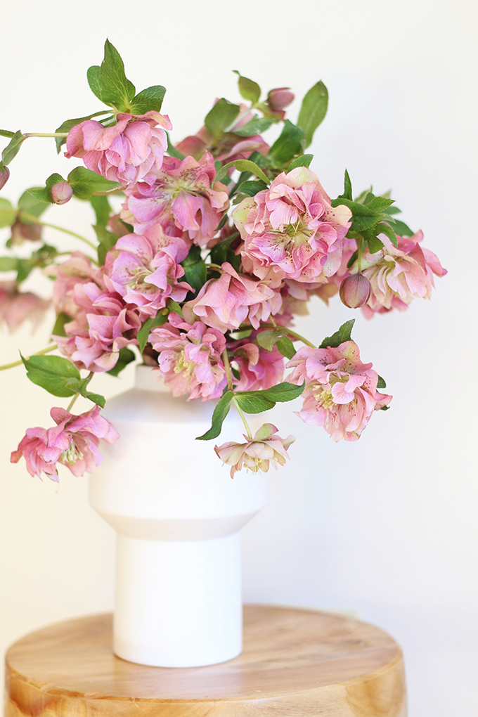 DIY | Homemade Flower Food | Double Bloom Hellebore Arrangement // JustineCelina.com