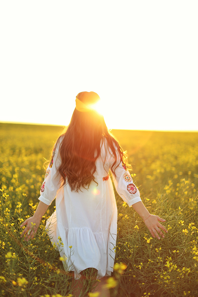 Flowerchild | Canola fields in rural Alberta, Canada // JustineCelina.com