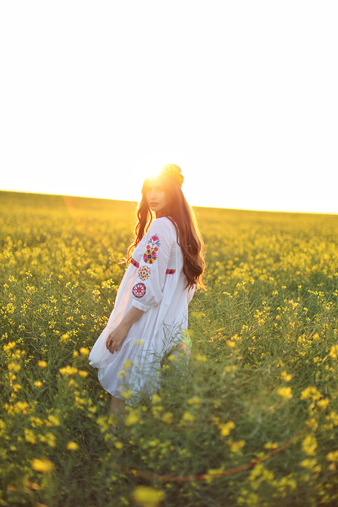 Flowerchild | Canola fields in rural Alberta, Canada // JustineCelina.com