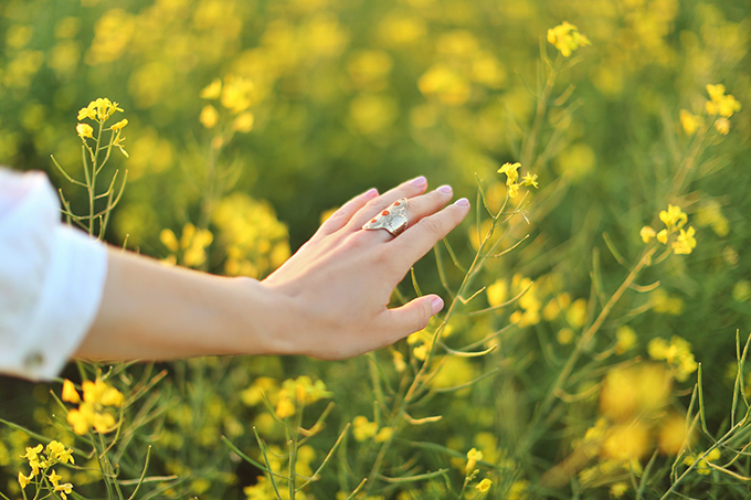 Flowerchild | Canola fields in rural Alberta, Canada // JustineCelina.com