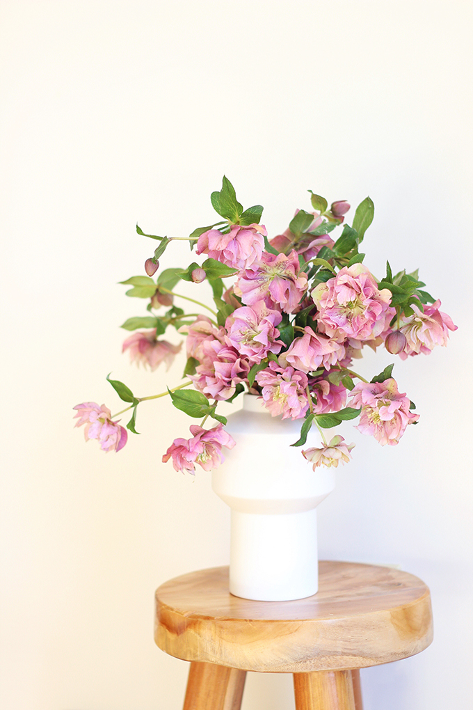 Homemade Flower Food Recipe | Double Bloom Hellebores // JustineCelina.com