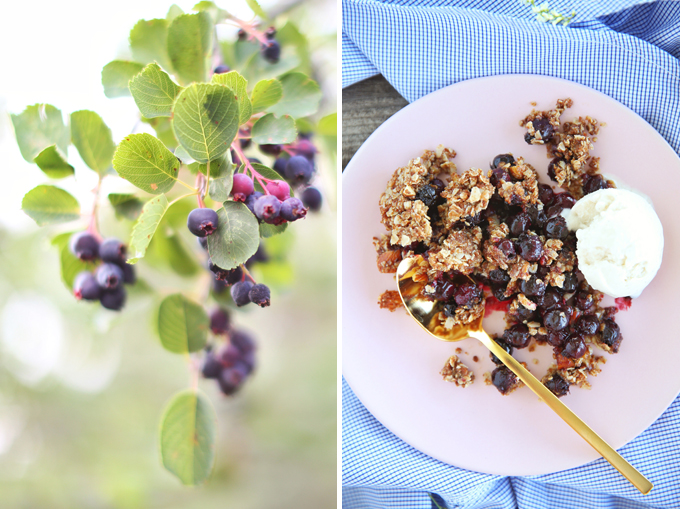 Wild Saskatoon Berry Crumble | Dairy, Gluten & Refined Sugar Free // JustineCelina.com