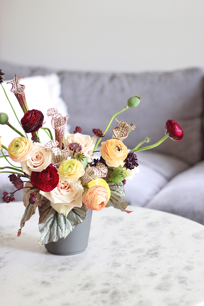  Bringing Autumn Flowers Into Your Home | A Moody, Autumn Arrangement including Ranunculus, Mother of Pearl Roses, Astrantia, Scabiosa, Saracena Lily, Poppy Pods and Angel Wings Begonia Leaves // JustineCelina.com + Rebecca Dawn Design 