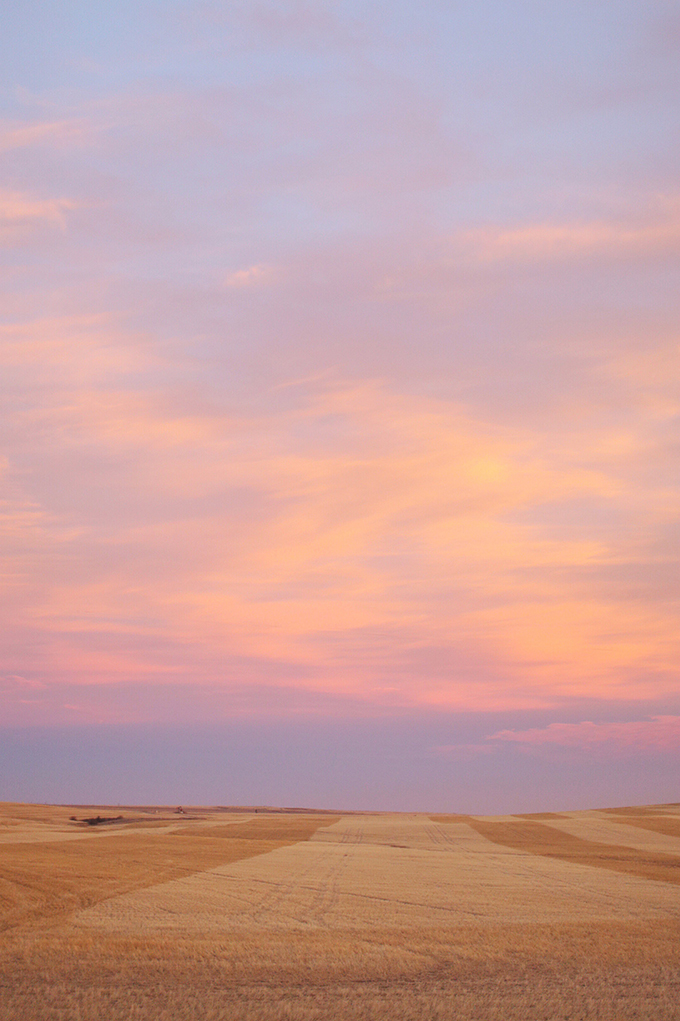 Alberta Travel Fashion Blogger, Prairie Field at Sunset | Drumheller, Alberta | Alberta Badlands | Fall Foliage // JustineCelina.com