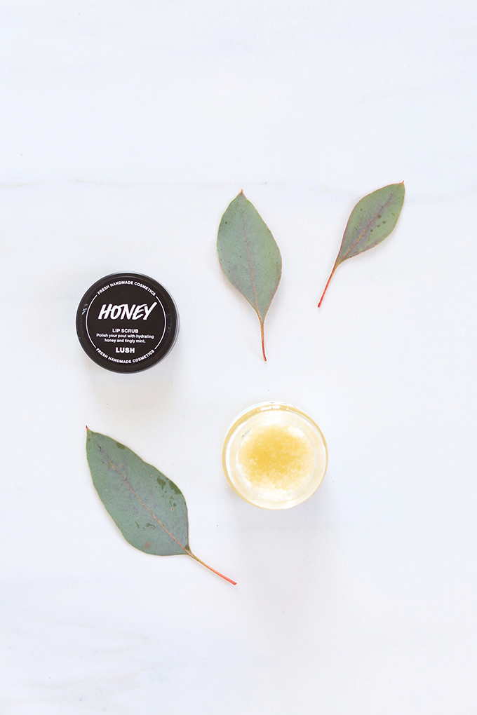 LUSH Honey Lip Scrub Photos, Review | November 2017 Beauty Favourites // JustineCelina.com