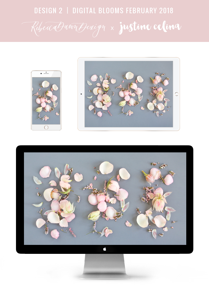 DIGITAL BLOOMS FEBRUARY 2018 | Free Blush Floral Desktop Wallpapers for Valentine’s Day | Design 2 // JustineCelina.com x Rebecca Dawn Design